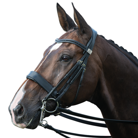 Complete Fairfax Double Bridle with Cavesson Noseband