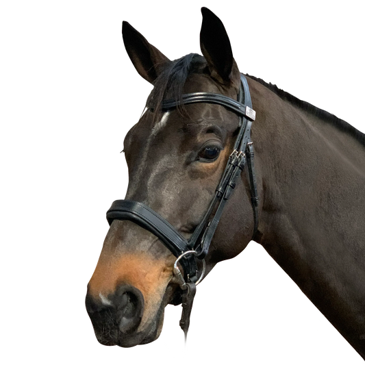 Complete Fairfax Snaffle Bridle with Narrow Cavesson Noseband