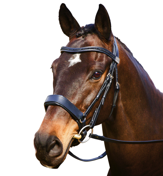 Complete Fairfax Snaffle Bridle with Cavesson Noseband