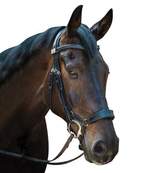 Complete Fairfax Snaffle Bridle with Drop Noseband