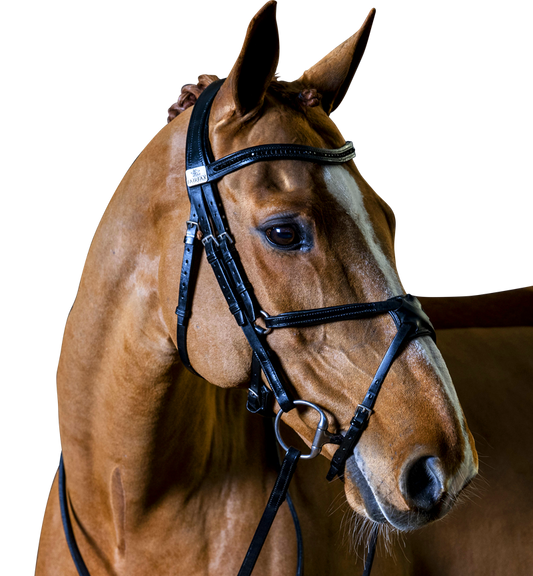 Complete Fairfax Snaffle Bridle with Grackle Noseband